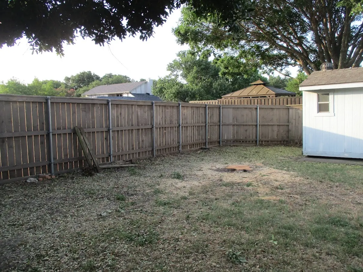 Cleared yard after professional tree removal in Randolph Center